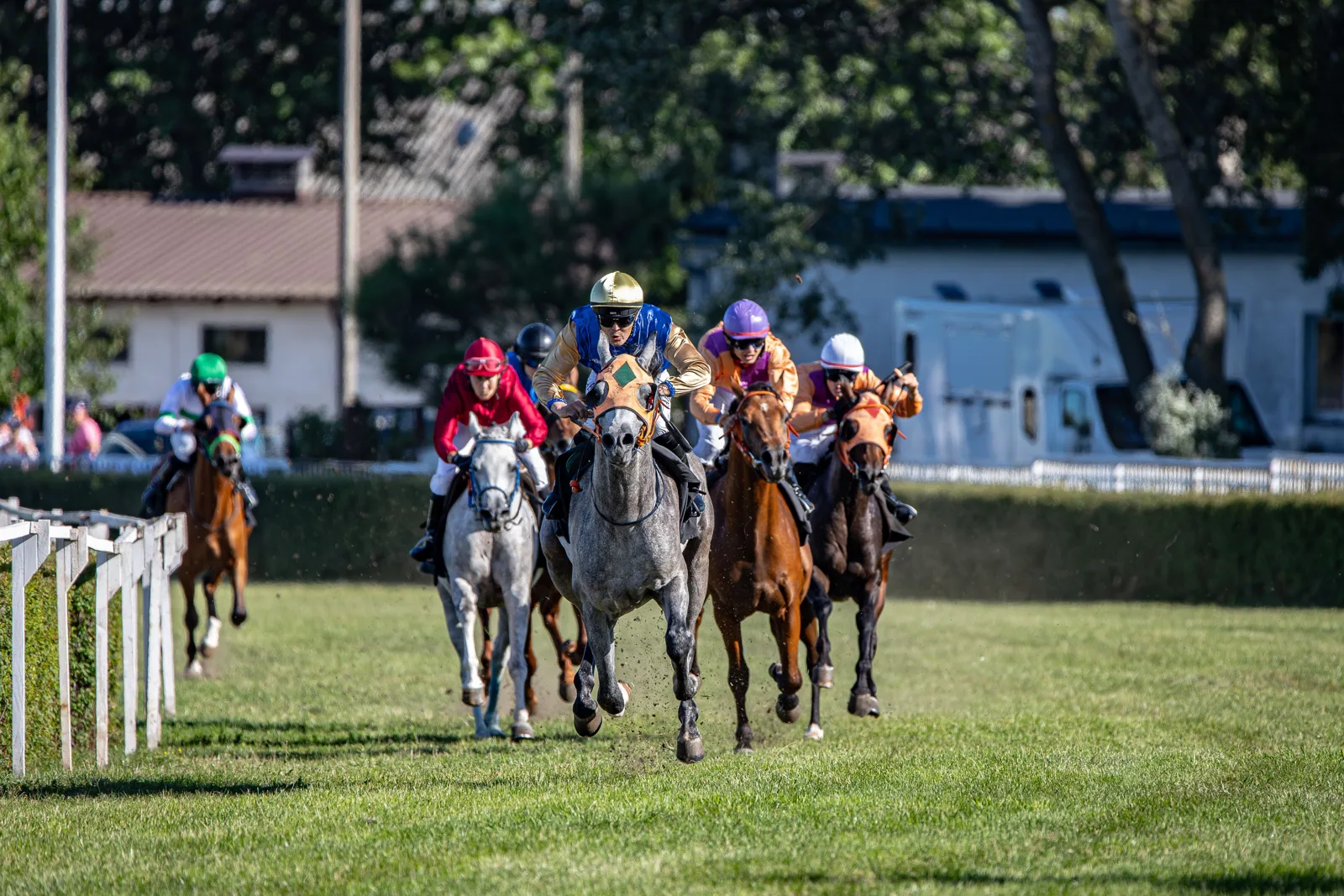Proform Sport RL : les repères pour situer un cheval